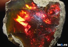 Tags: fire, opal, raw (Pict. in My r/PICS favs)
