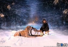 Tags: animals, farm, kids, magical, mother, russian, takes, two (Pict. in My r/PICS favs)
