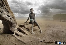 Tags: ethiopian, kid, old, sandstorm, standing, tree (Pict. in My r/PICS favs)