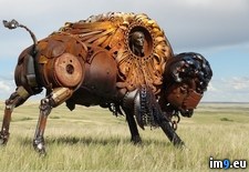 Tags: bison, metal, scrap (Pict. in My r/PICS favs)