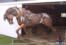 Tags: metal, scrap, stallion (Pict. in My r/PICS favs)