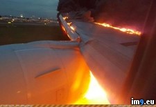 Tags: emergency, good, idea, landing, signs (Pict. in My r/PICS favs)