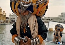 Tags: gear, sikh, sweet (Pict. in My r/PICS favs)