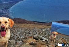 Tags: climb, dog, highest, irelan, kid, lucy, mountains, northern, wanted, was (Pict. in My r/PICS favs)