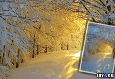 Tags: italy, snow, sunrise (Pict. in My r/PICS favs)