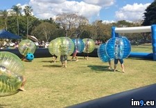 Tags: happening, local, park, turn (Pict. in My r/PICS favs)