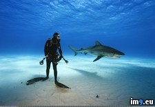 Tags: water (Pict. in My r/PICS favs)