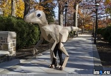 Tags: cardboard, eyes, foot, friend, googly, long, velociraptor (Pict. in My r/PICS favs)