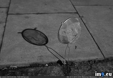 Tags: shadow, strainer (Pict. in My r/PICS favs)