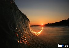 Tags: curling, sunset, wave (Pict. in My r/PICS favs)