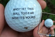 Tags: andy (Pict. in My r/PICS favs)