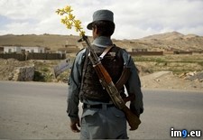 Tags: afghanistan, good, journalist, killed, photographer, photos, was (Pict. in My r/PICS favs)