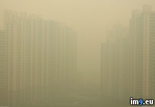 Tags: air, apartment, aqi, index, quality, reached, shanghai (Pict. in My r/PICS favs)
