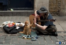 Tags: friends (Pict. in My r/PICS favs)