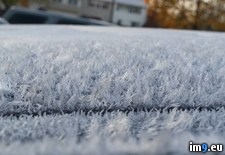 Tags: car, frost, morning (Pict. in My r/PICS favs)