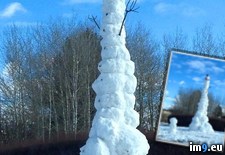 Tags: game, kids, local, snowman, strong (Pict. in My r/PICS favs)