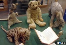 Tags: based, original, pooh, toys, winnie (Pict. in My r/PICS favs)