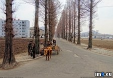 Tags: feel, guilty, korea, north, photos (Pict. in My r/PICS favs)