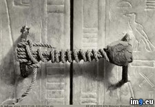 Tags: historyporn, seal, tomb, tutankhamun, unbroken, untouched, years (Pict. in My r/PICS favs)