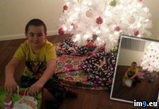 Tags: autistic, christmas, for, kid, tree, wanted (Pict. in My r/PICS favs)