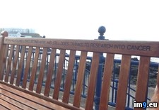Tags: bench, happy, hope, important, kieran, may, mullholland, unfathomably, way (Pict. in My r/PICS favs)