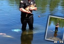 Tags: cop, dog, pickup, rescued, submerged, truck (Pict. in My r/PICS favs)