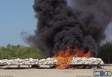 Tags: burning, cocaine (Pict. in My r/PICS favs)
