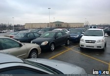 Tags: idiot, park, why, you (Pict. in My r/PICS favs)