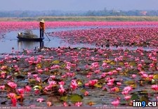 Tags: love, river (Pict. in My r/PICS favs)