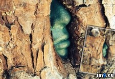 Tags: face, green, grew, making, man, sculpture, stone, trapped, tree (Pict. in My r/PICS favs)