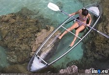 Tags: canoe, observe, transparent (Pict. in My r/PICS favs)