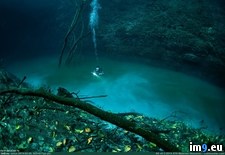 Tags: river, underwater (Pict. in My r/PICS favs)
