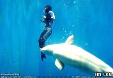 Tags: diver, free, grabbing, leg, paralyzed, pushing, saves, surface, whale (Pict. in My r/PICS favs)