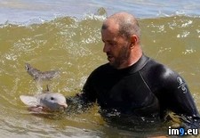 Tags: baby, dolphin (Pict. in My r/PICS favs)