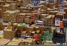 Tags: amazon (Pict. in My r/PICS favs)