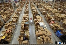 Tags: amazon (Pict. in My r/PICS favs)