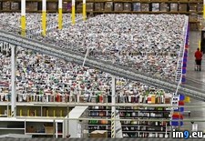 Tags: amazon (Pict. in My r/PICS favs)