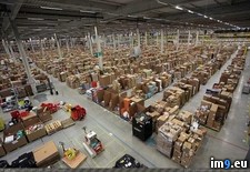 Tags: amazon (Pict. in My r/PICS favs)