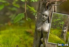 Tags: carving, nymph, wood (Pict. in My r/PICS favs)