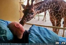 Tags: animals, cancer, goodbye, terminal, volunteer, zoo (Pict. in My r/PICS favs)