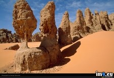 Tags: pillars, sandstone, steinmetz (Pict. in National Geographic Photo Of The Day 2001-2009)