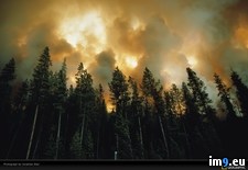Tags: blair, fire, pines (Pict. in National Geographic Photo Of The Day 2001-2009)