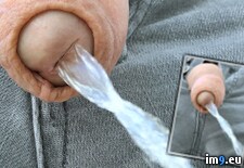 PISS-045 (#Porn #Slut #Whore #Gay #Fag #Fat #Faggot #Gaywhore #Foreskin #Gayfetish #Gaypiss) - 257 KB Tags: fag, faggot, fat, fetish, filthy, foreskin, gay, gayfetish, gaypiss, gaywhore, pee, piss, pissing, porn, slut, whore (Pict. in PISS-PIG ALEX)