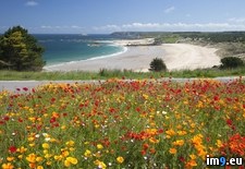 Tags: armor, beach, brittany, cotes, france, pleherel (Pict. in Beautiful photos and wallpapers)