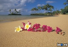 Tags: hawaii, oahu, paradise, polynesian (Pict. in Beautiful photos and wallpapers)