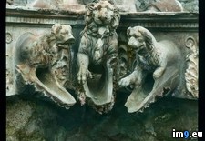 Tags: compluvium, lions, pompeii, rain, sculpted, shape, spouts (Pict. in Branson DeCou Stock Images)
