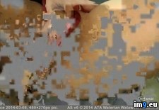 poster224533ff-a901-4c1c-abac-635fea43ddfe ( #Porn) - 18 KB Tags: porn (Pict. in ghbbhiuiju)