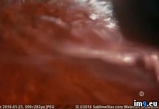 posterb3a11914-9f81-4c0f-a9bd-9984b1c92308 - 12 KB Tags: porn (Pict. in Ghbbhiuiju)
