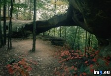 Tags: arch, boone, daniel, forest, gorge, kentucky, national, princess, red, river (Pict. in Beautiful photos and wallpapers)