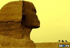 Tags: egypt, giza, great, sphinx (Pict. in Beautiful photos and wallpapers)